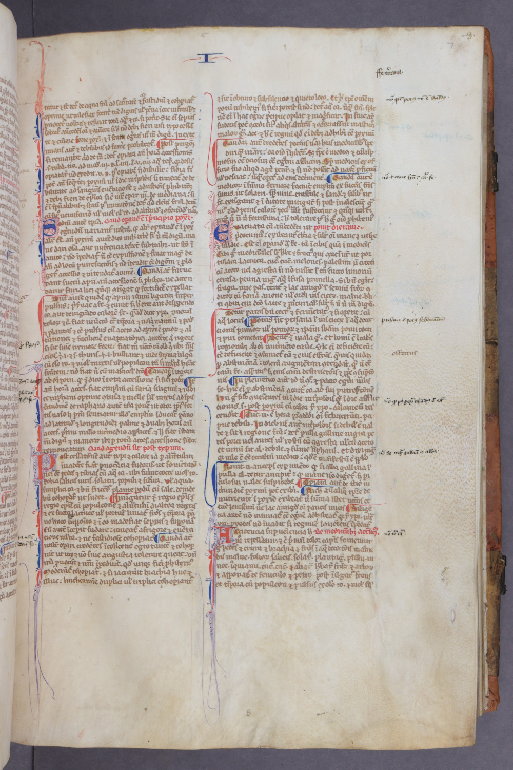 Folio 7 recto